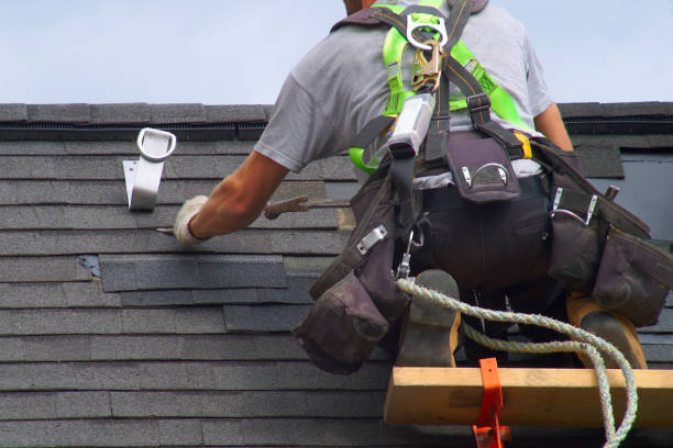 Best Sealant for Roof  in Escobares, TX
