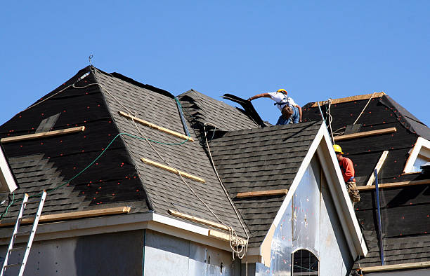 Best Storm Damage Roof Repair  in Escobares, TX
