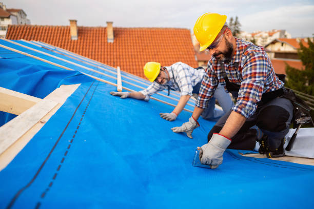 Best Storm Damage Roof Repair  in Escobares, TX