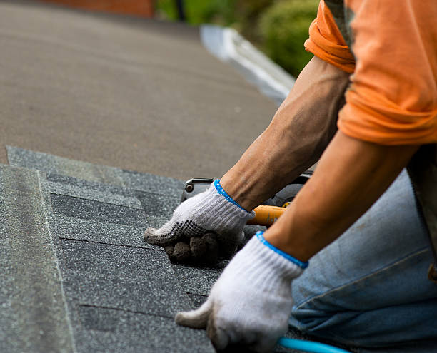 Best Roof Maintenance Services  in Escobares, TX