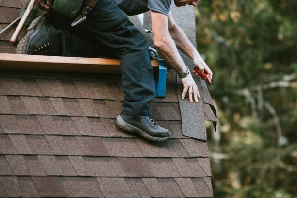 Best Gutter Installation and Roofing  in Escobares, TX